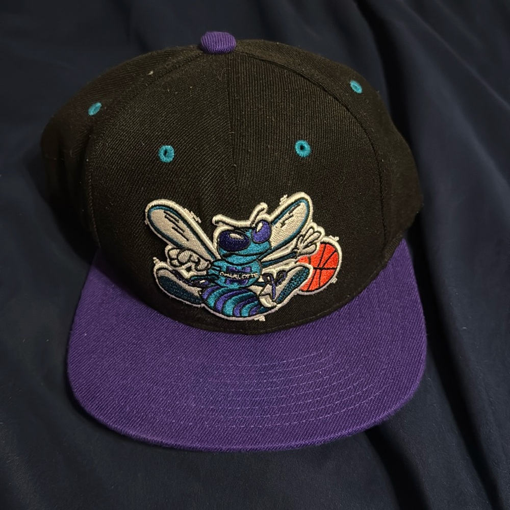 Charlotte Hornets hat